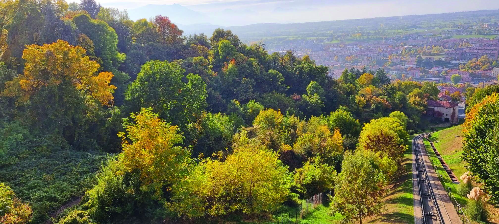 Bosco segreto Mondovì