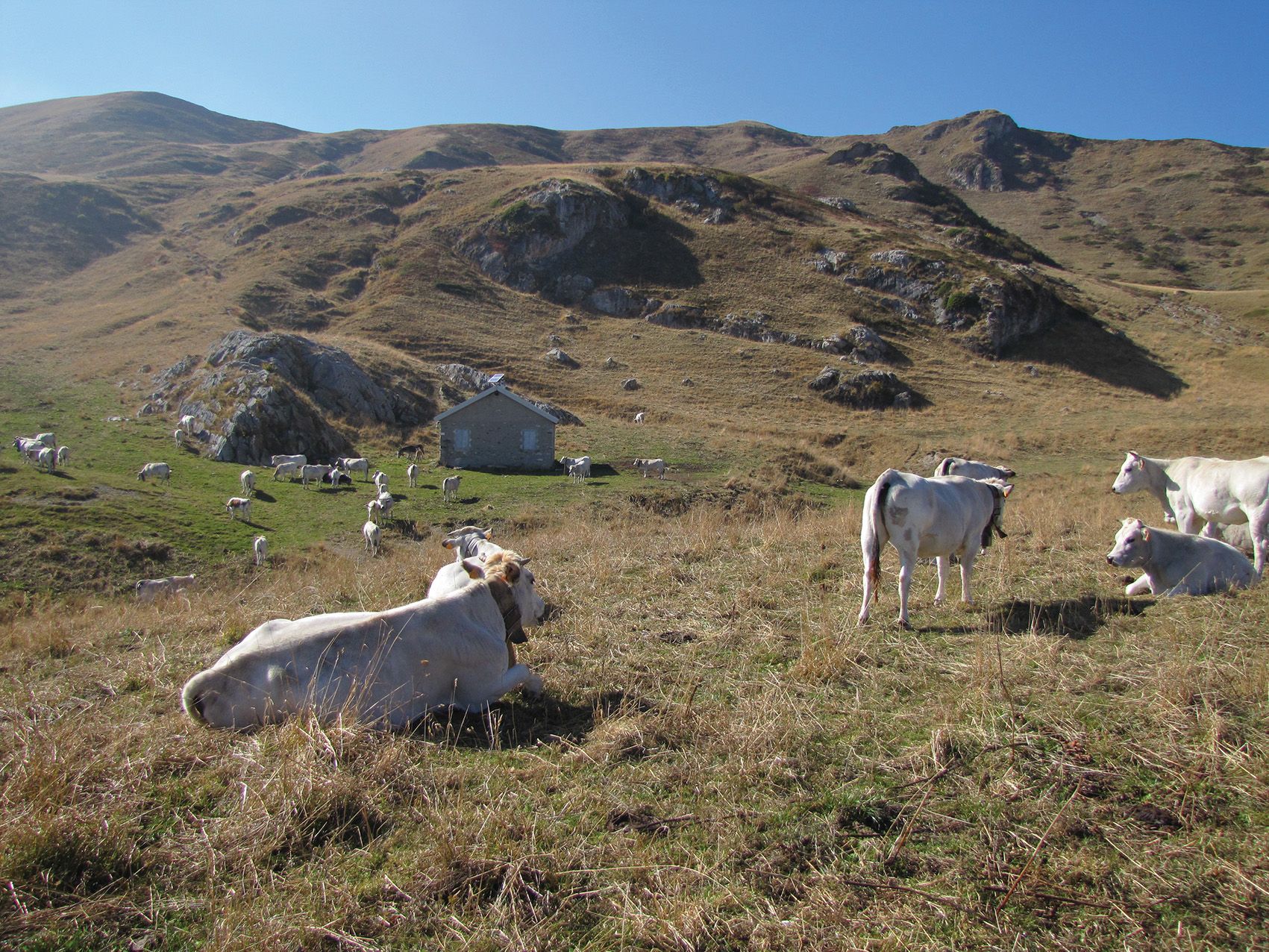 Itinerari partigiani Vaccarile Pesio