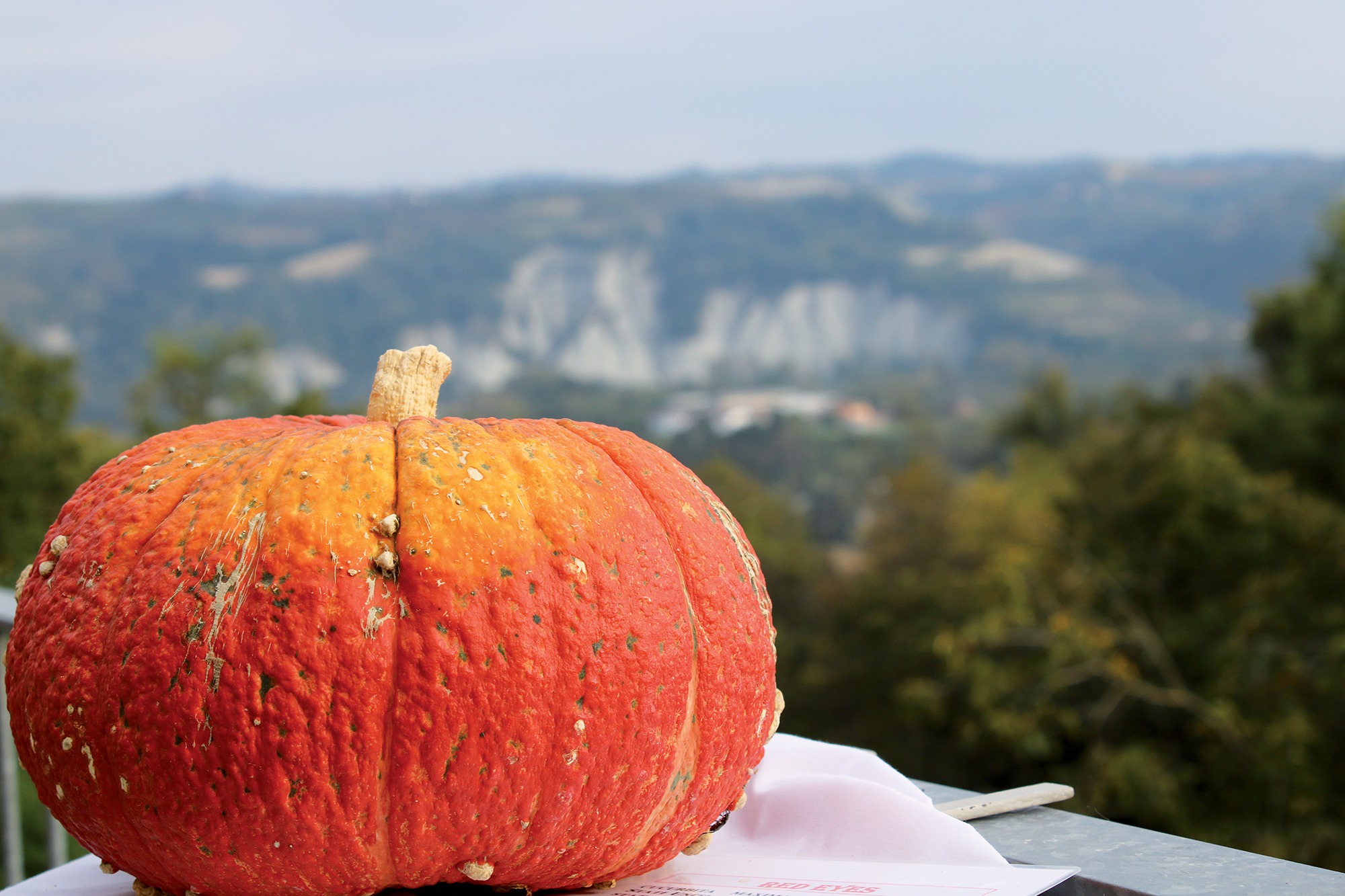 Piozzo paese della zucca