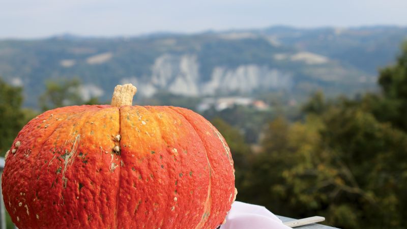 Piozzo paese della zucca