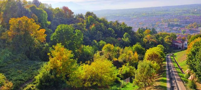 Mondovì ha un bosco segreto, il bosco della Nova