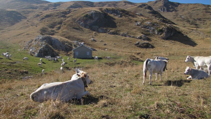 [Foto Mauro Fissore - Parco naturale del Marguareis - Alpi Marittime]